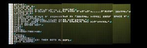 s-s-DSC06510.jpg