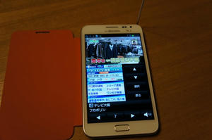 s-DSC09438.jpg