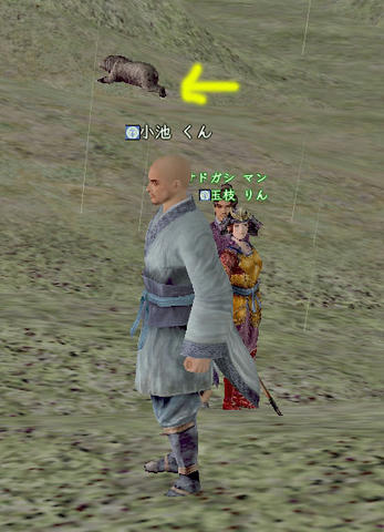 74394005.jpg