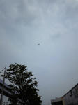 DVC00051_R.jpg