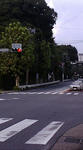 F1000005.JPG