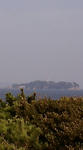 F1000013.JPG