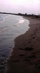 F1000018.JPG