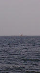 F1000023.JPG