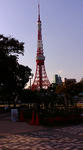 F1000125.JPG