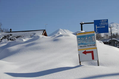 白ひげの滝