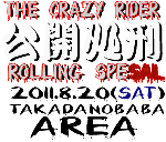 koukaisyokei2011.gif