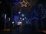 DSC00522.jpg