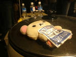 DSC00535.jpg