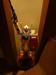 DSC00711.jpg