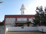 DSC01111.jpg