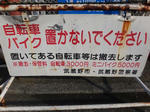 DSC01198.jpg