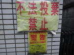 DSC01199.jpg
