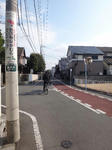 DSC01185.jpg