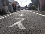 DSC01253.jpg