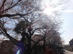 DSC01254.jpg