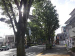 DSC01438.jpg