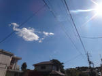 DSC01705.jpg