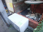 DSC01880.jpg