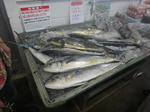 DSC01994.JPG