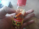 DSC02103.jpg