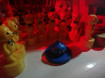 DSC02116.jpg