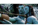 avatar.jpg