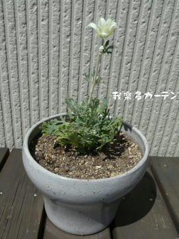 P1010766.JPG