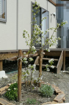 20090417_170019407.JPG