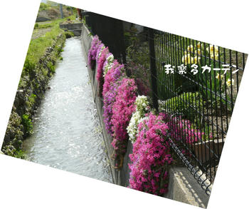 20090426_150225922.JPG