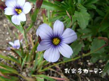 P1010984.JPG