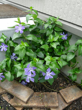 P1020010.JPG