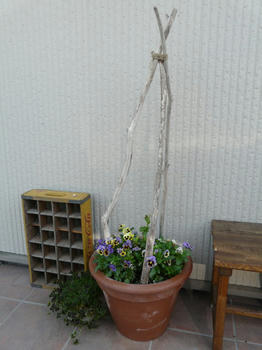 P1020038.JPG