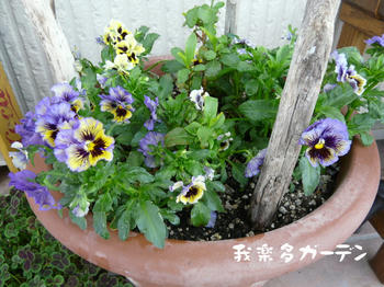 P1020044.JPG
