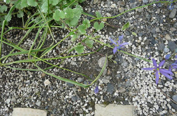 P1020133.JPG