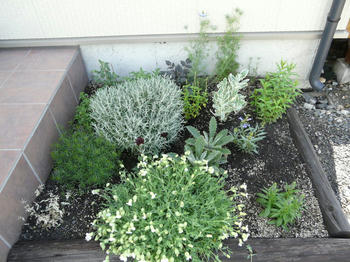 P1020152.JPG