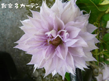 P1020177.JPG
