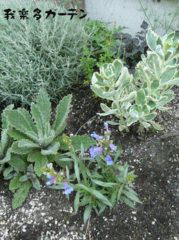 P1020170.JPG