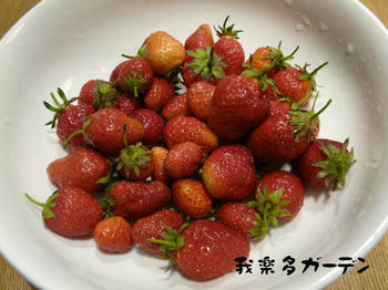 P1020220.JPG