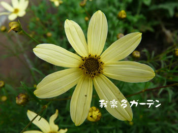 P1020341.JPG