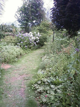 TS3D0017.JPG