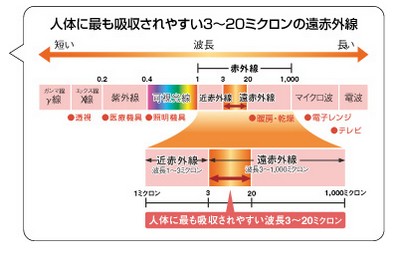 コロナ コアヒート DH－1112R 2012年製【モノ市場東浦店】 - 遠赤外線 