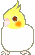 n_lutino35.gif