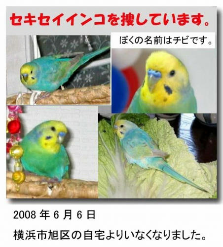c8032532.jpeg