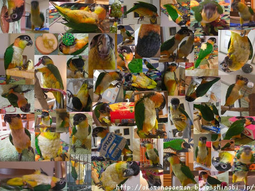 20081206ZunkitiWallpaper1024x768byKazuzu3.jpg