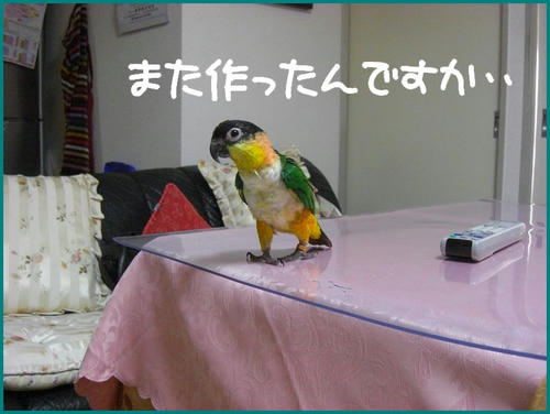 KCIMG3628.jpg