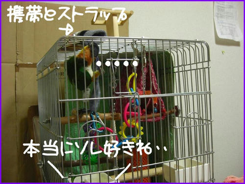 KCIMG4044.JPG