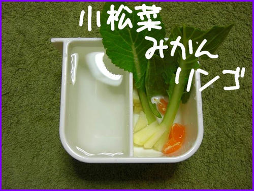 KCIMG3972.JPG