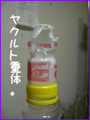 Yakulthakai.JPG