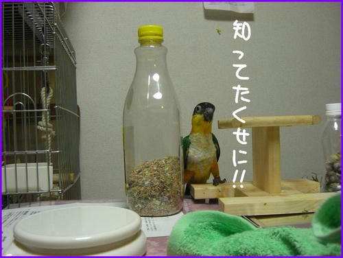 rakkamitetandesho.jpg
